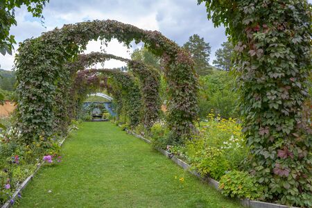 Decorative arches in the beautiful garden in late autumnの写真素材