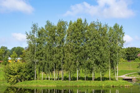 Pskov, a picturesque island in the Duck pond in the Park on the river Miroshka, Sunny summer dayの写真素材
