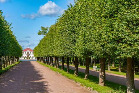 Peterhof, Marlinskaya alley in the Lower Parkのeditorial素材