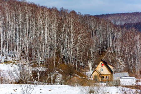 Private residential house on the outskirts of the village near the birch forestのeditorial素材