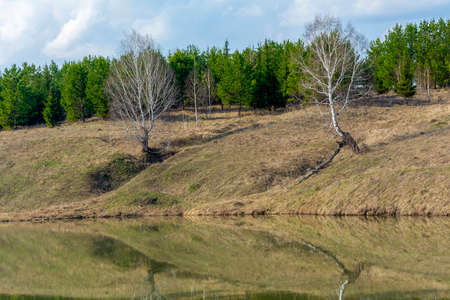 The picturesque shore of Glukhogo Lake is reflected in the water, Kemerovo region-Kuzbassの写真素材