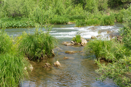 Threshold on the small taiga river Suenga, Novosibirsk region