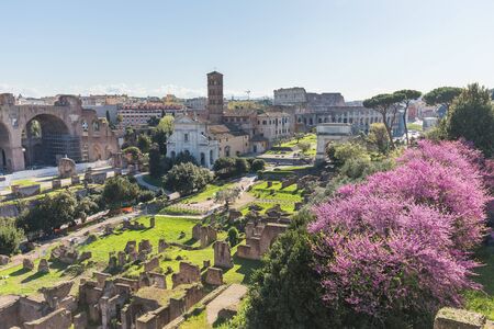 The Roman Forum in Rome Italy.の写真素材