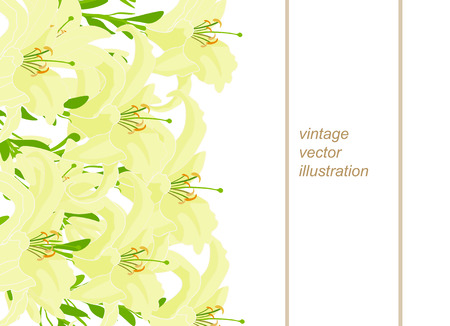 pattern horizontal for a card with lily. vector illustrationのイラスト素材