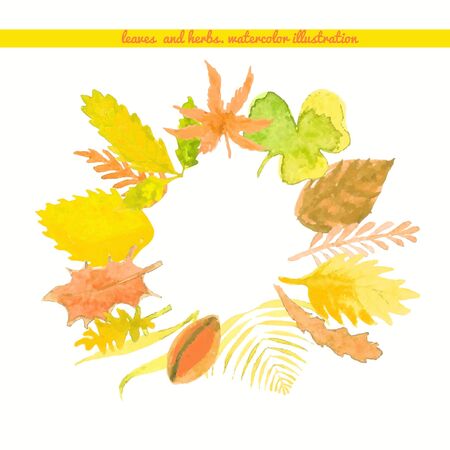 wreath leaves and herbs autumn vector watercolor illustrationのイラスト素材