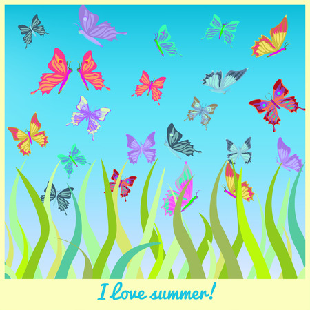 butterflies fly above the grass vector illustrationのイラスト素材