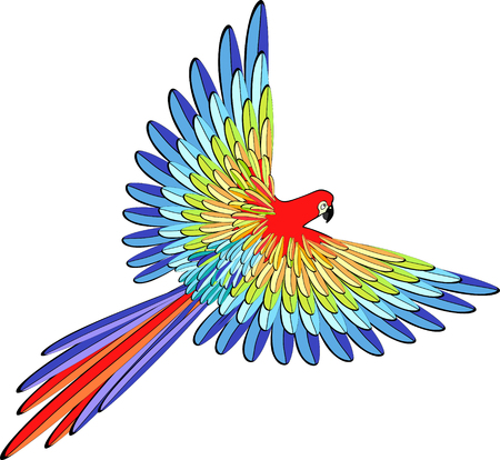 Caribbean red the parrot flying vector illustrationのイラスト素材