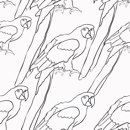 seamless pattern coloring of the Caribbean parrot sitting vector illustrationのイラスト素材