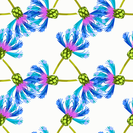 seamless pattern field flowers knapweed overblown vector illustrationのイラスト素材