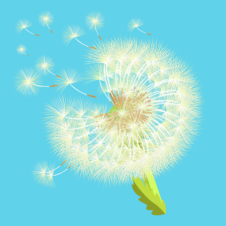 background dandelion in the wind fly vector illustrationのイラスト素材