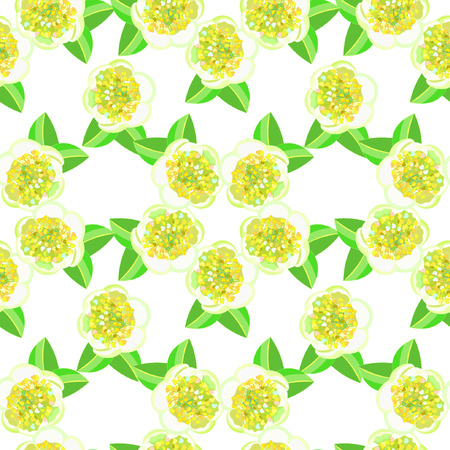 seamless pattern with blooming tea bush Camellia Chinese vector illustrationのイラスト素材