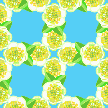 seamless pattern with tea bush Camellia Chinese on blue vector illustrationのイラスト素材