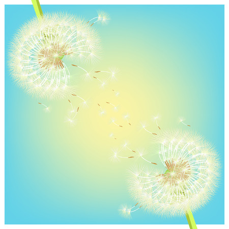 greeting card with dandelions couple on holiday vector illustrationのイラスト素材