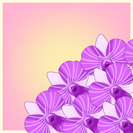 greeting card with violet orchids at sunset vector illustrationのイラスト素材