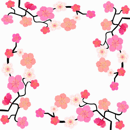 card with blossoms Japanese cherry vector illustrationのイラスト素材