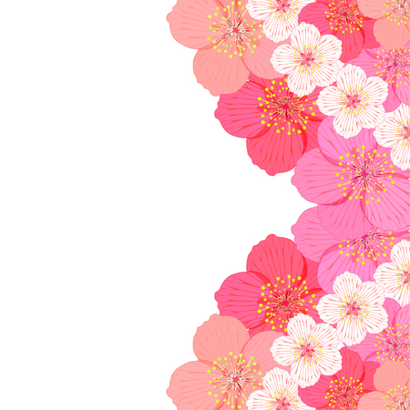 card with flowers of Japanese of cherries vector illustrationのイラスト素材