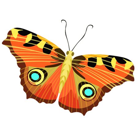isolated a  butterfly peacock eye. vector illustrationのイラスト素材