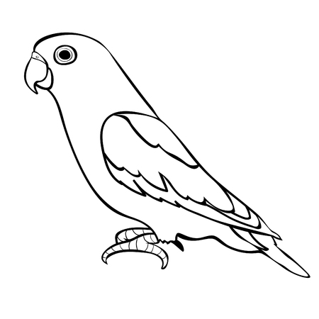 lovebirds parrot with a red beak coloring  vector illustrationのイラスト素材