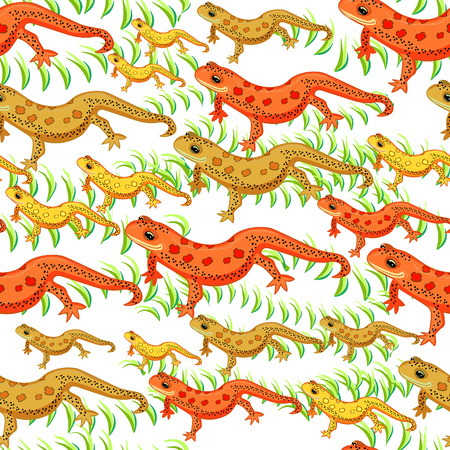 seamless pattern Triton East American red spotted salamander smiling on grass . vector illustrationのイラスト素材