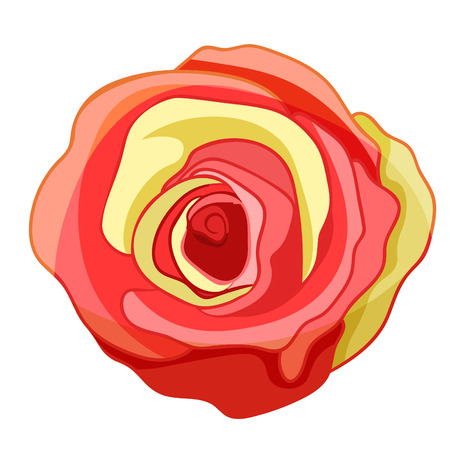 red rose flower with shadow . vector illustrationのイラスト素材