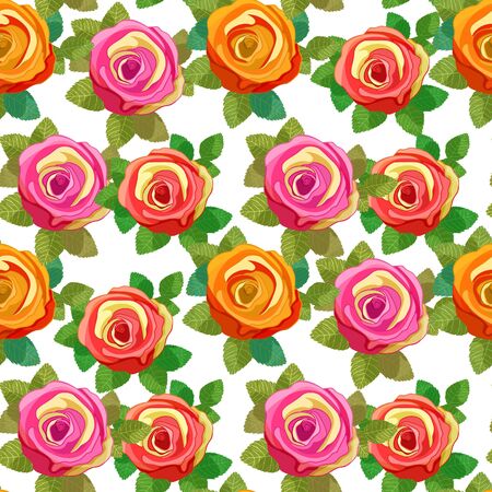 Pattern flower pink and orange rose with leaves.のイラスト素材