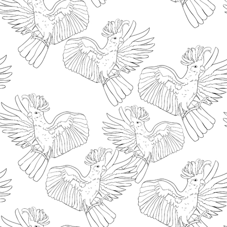Isolated illustration design of Cockatoo  white wings flying coloring Seamless pattern Vector illustrationのイラスト素材
