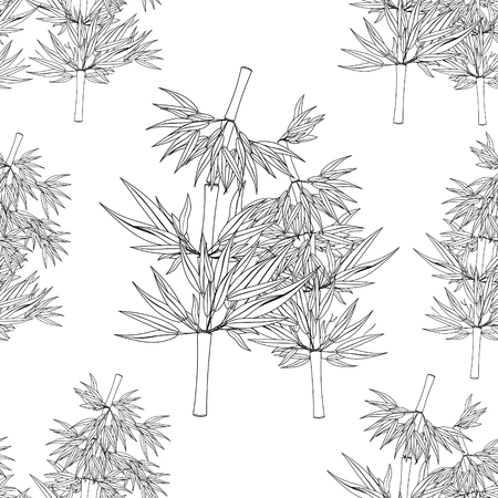 pattern Bamboo tree coloring Vector illustrationのイラスト素材