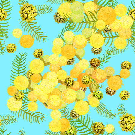 Seamless pattern Branch of mimosa acacia silvery whitened on blue.  Vector illustrationのイラスト素材