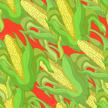 Seamless pattern Corn in the cob with leaves on red Vector illustrationのイラスト素材