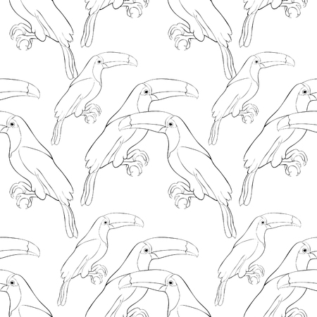 Seamless pattern coloring Toucan a  exotic bird .Vector illustrationのイラスト素材