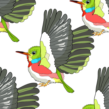 seamless pattern Cuban a Tody Bird exotic  vector illustrationのイラスト素材