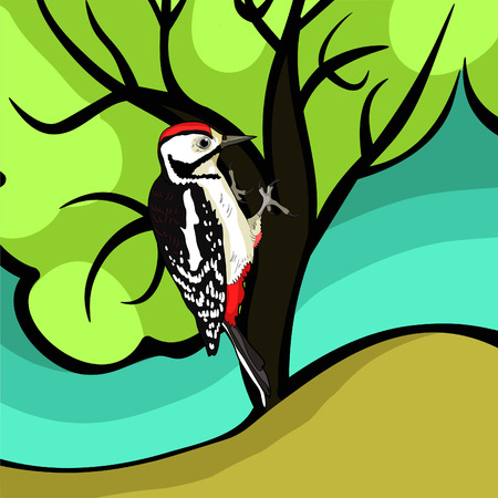 the great spotted woodpecker young on tree vector illustrationのイラスト素材