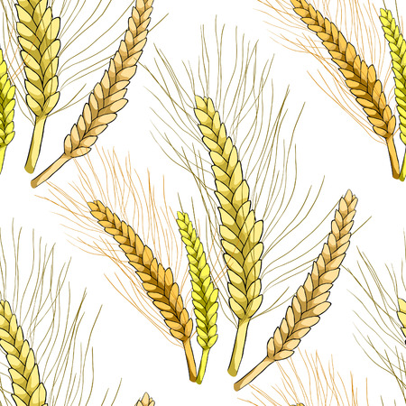 seamless pattern  mature of wheat close vector illustrationのイラスト素材