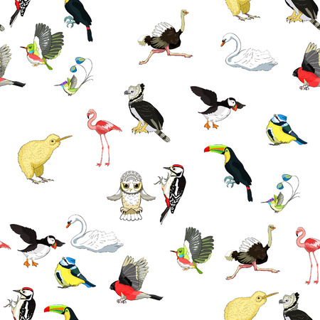 seamless pattern owl, toucan, bluegrass tit, kiwi bird, harpy, bullfinch, woodpecker, swan,...