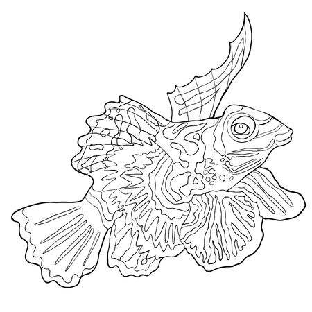 coloring  Mandarin fish is Chinese perch  vector illustrationのイラスト素材