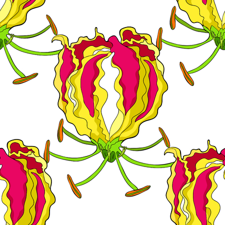 Seamless pattern Gloriosa flower Gorgeous red vector illustration.のイラスト素材