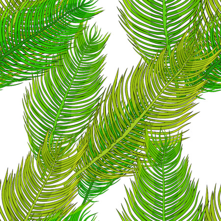 the seamless pattern  natural tropical palm leaves  vector illustrationのイラスト素材