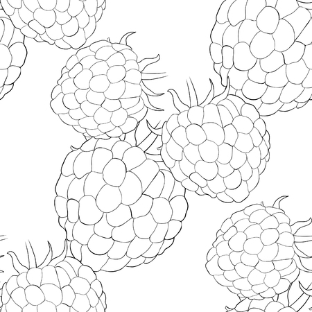 coloring seamless pattern raspberry berry natural ripe summer  vector illustrationのイラスト素材