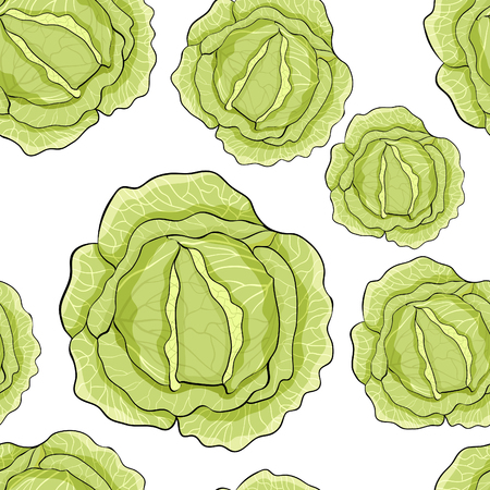 seamless pattern white cabbage ripe vegetable  vector illustrationのイラスト素材