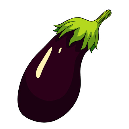 the iseggplant vegetable natural vector illustrationのイラスト素材