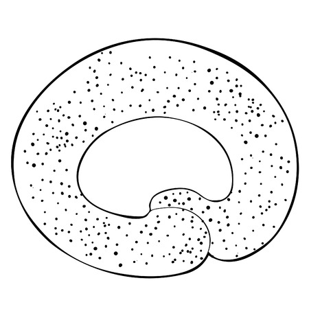 coloring kalach sweet bakery product as a ring  vector illustrationのイラスト素材