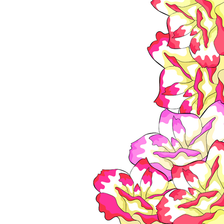 card Peony flowers eustoma indoor plants  vector illustrationのイラスト素材