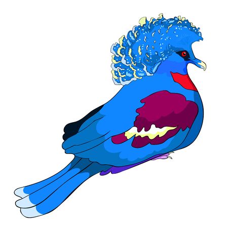 the Bird King Crowned Pigeon vector illustrationのイラスト素材
