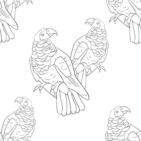 coloring seamless pattern eagle black-red griffon parrot vector illustrationのイラスト素材