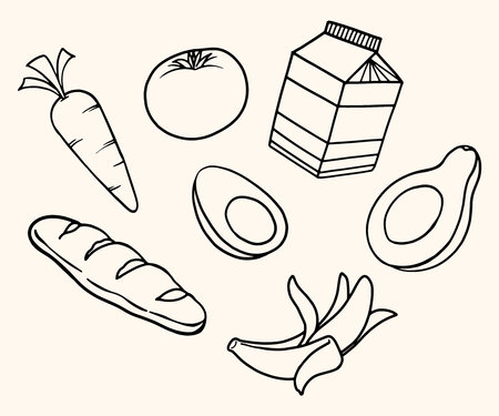 Hand-drawn Illustration of Avocado, Milk, Egg, Tomato, Carrot, Bread, and Bananaの写真素材