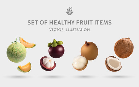 A Set of Healthy Fruit 3D Illustrations: Cantaloupe, Mangosteen, Longkong, Coconutの写真素材
