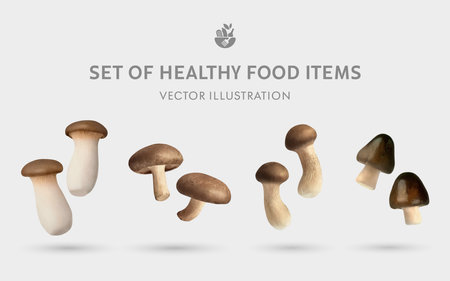 A Set of Healthy Mushroom Food 3D Illustrations: King Oyster Mushroom, Shiitake, Matsutake, Straw Mushroomの写真素材