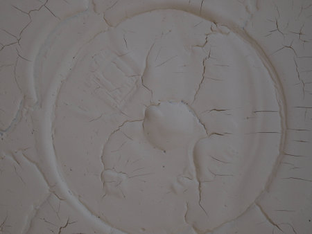 Wall paint dried with reliefの写真素材