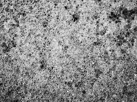 background of concrete in black and white