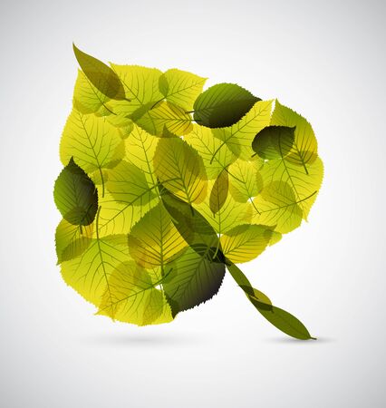 Fresh Leaf made from smaller leafs on light backgroundのイラスト素材